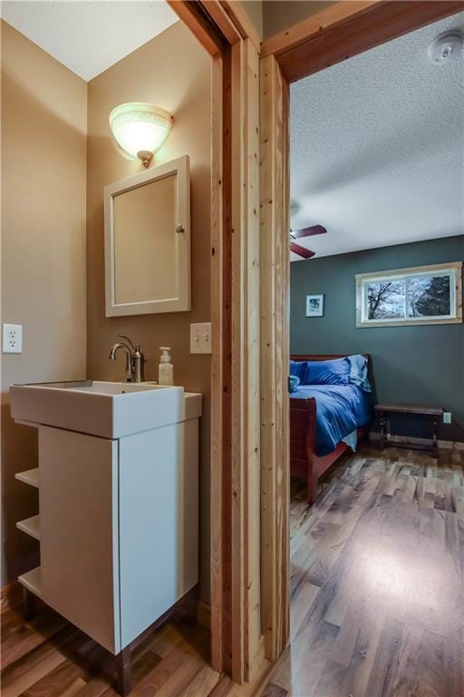 16187 Secluded Ln, Gordon, WI 54838 - bathroom featuring a ceiling fan, wood finished floors, and vanity