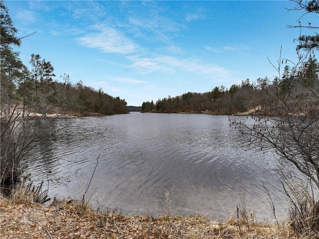 16187 Secluded Ln, Gordon, WI 54838 - view of water feature featuring a forest view