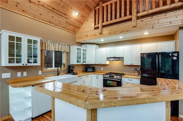 16187 Secluded Ln, Gordon, WI 54838 - kitchen with a sink, butcher block countertops, open shelves, under cabinet range hood, and black appliances