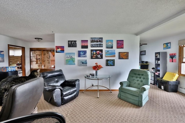 203 S Main St, Deerfield, WI 53531 - living room featuring baseboards, carpet flooring, and a textured ceiling