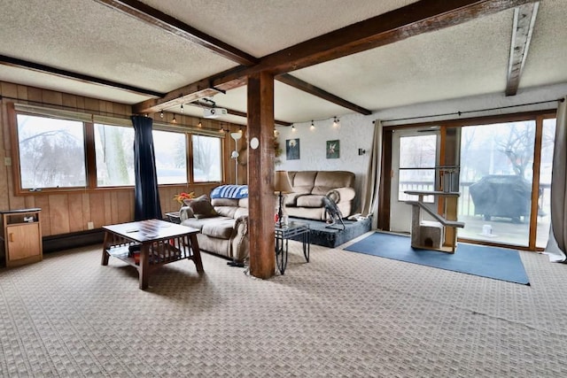 203 S Main St, Deerfield, WI 53531 - carpeted living room featuring a textured ceiling, beamed ceiling, and plenty of natural light
