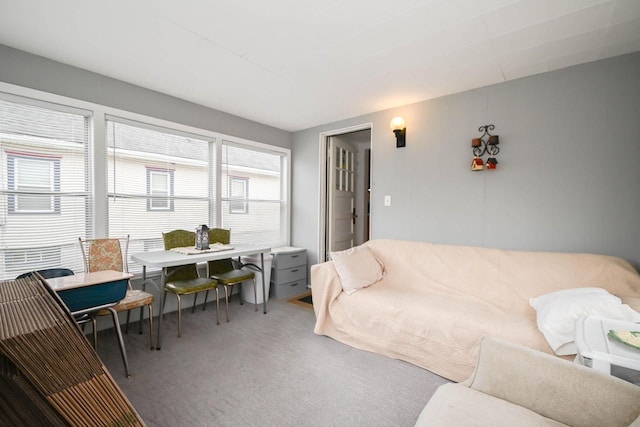 living area featuring carpet floors