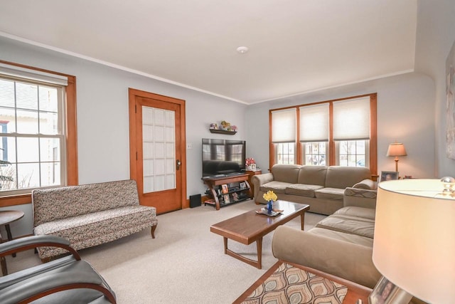 carpeted living room featuring a wealth of natural light and crown molding