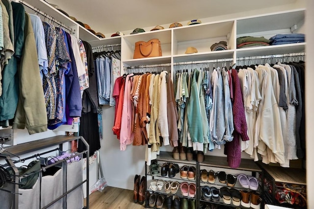 walk in closet featuring wood finished floors