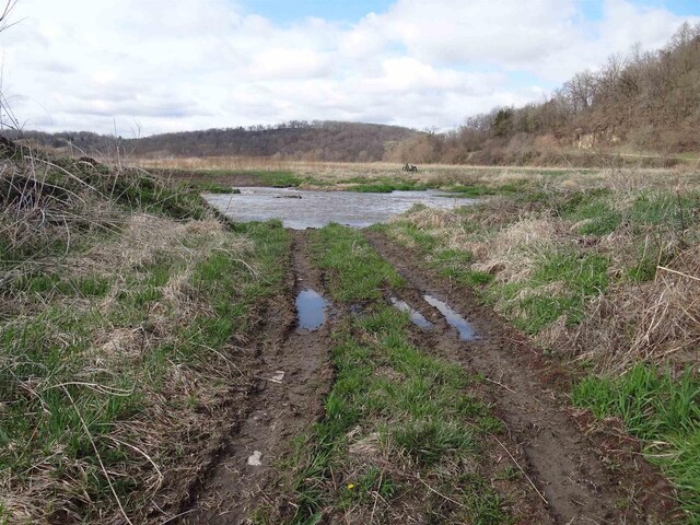 151.68/-ACRES Rattlesnake Rd, Cassville, WI 53806