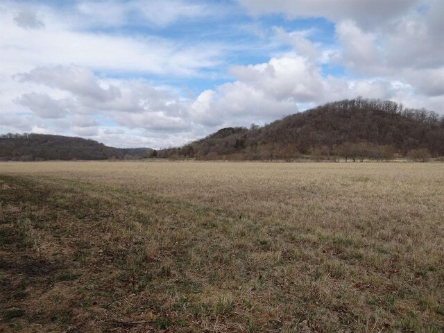 151.68/-ACRES Rattlesnake Rd, Cassville, WI 53806