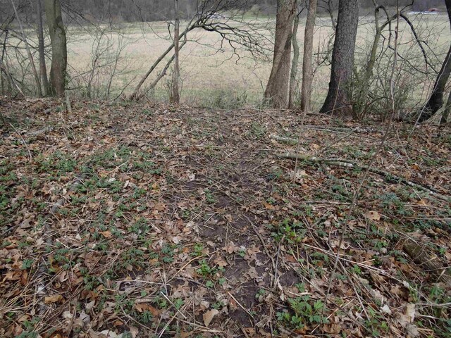 151.68/-ACRES Rattlesnake Rd, Cassville, WI 53806