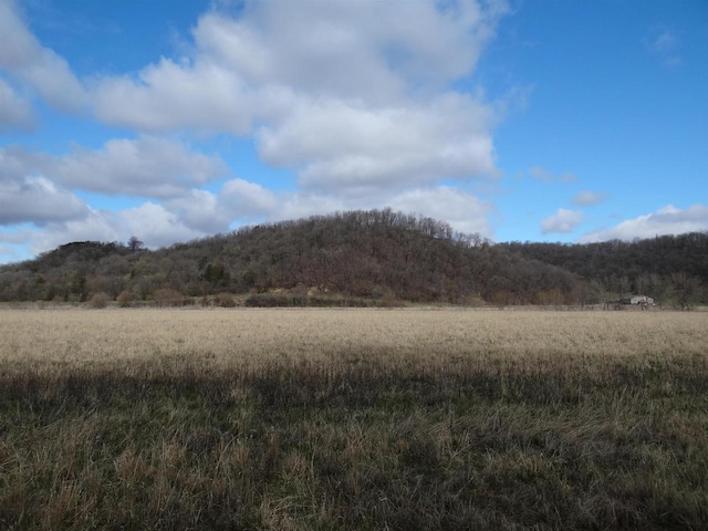 151.68/-ACRES Rattlesnake Rd, Cassville, WI 53806