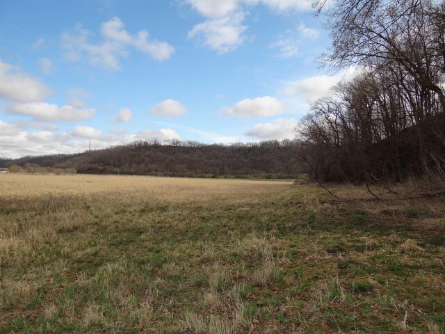 151.68/-ACRES Rattlesnake Rd, Cassville, WI 53806