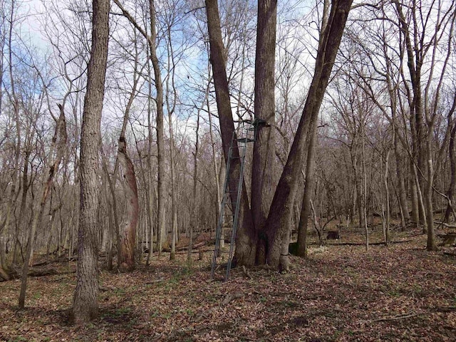 151.68/-ACRES Rattlesnake Rd, Cassville, WI 53806