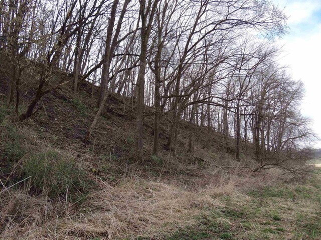 151.68/-ACRES Rattlesnake Rd, Cassville, WI 53806