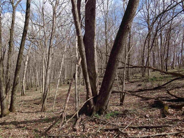 151.68/-ACRES Rattlesnake Rd, Cassville, WI 53806