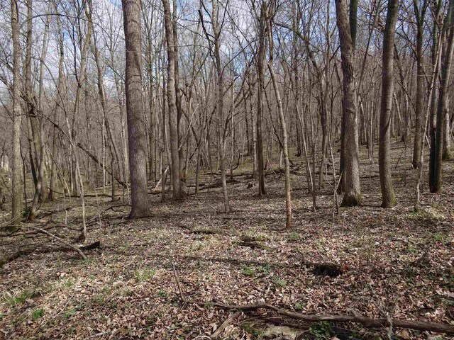 151.68/-ACRES Rattlesnake Rd, Cassville, WI 53806