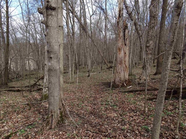 151.68/-ACRES Rattlesnake Rd, Cassville, WI 53806