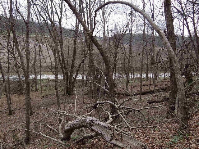 151.68/-ACRES Rattlesnake Rd, Cassville, WI 53806