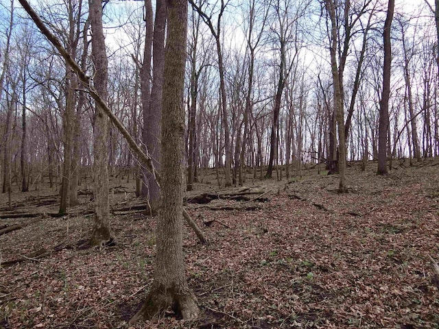 151.68/-ACRES Rattlesnake Rd, Cassville, WI 53806