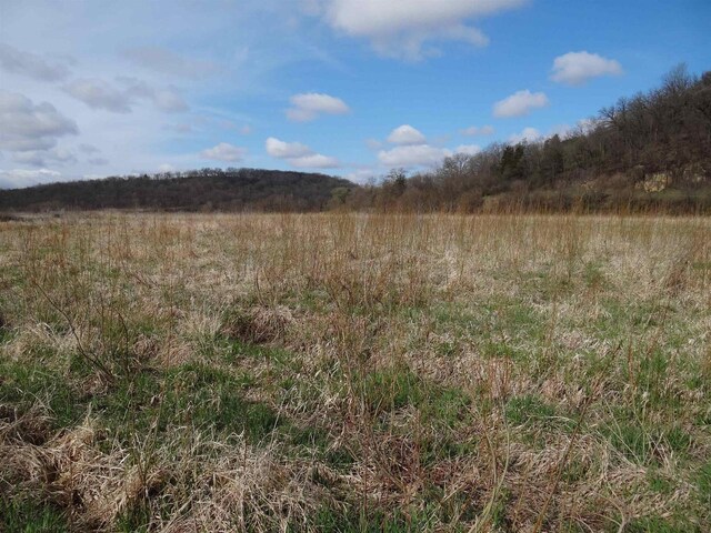 151.68/-ACRES Rattlesnake Rd, Cassville, WI 53806