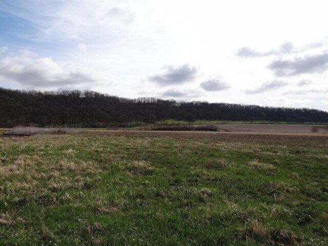 151.68/-ACRES Rattlesnake Rd, Cassville, WI 53806