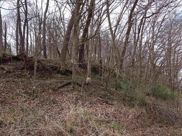 151.68/-ACRES Rattlesnake Rd, Cassville, WI 53806