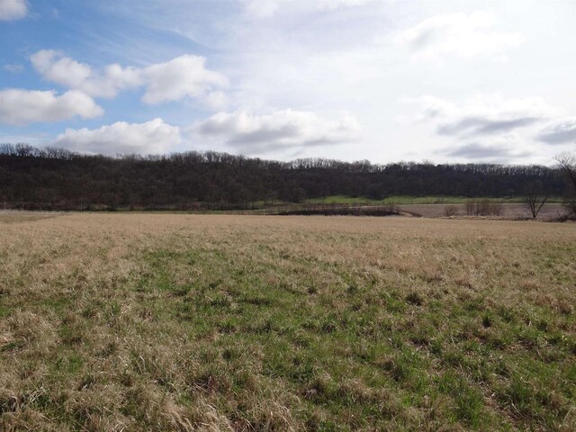 151.68/-ACRES Rattlesnake Rd, Cassville, WI 53806