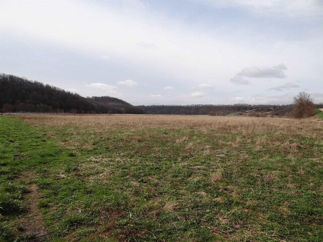 151.68/-ACRES Rattlesnake Rd, Cassville, WI 53806