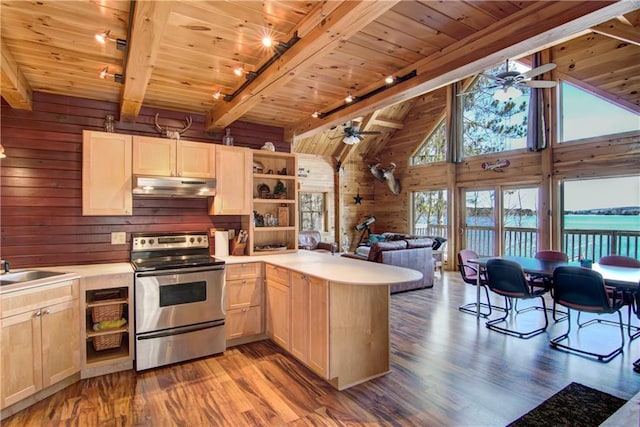 5044 Clayton Rd, Winter, WI 54896 - kitchen with under cabinet range hood, ceiling fan, wooden walls, and stainless steel electric range