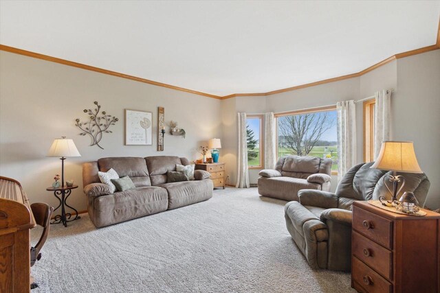 2555 W Deer Path Trl, Janesville, WI 53545 - living room with carpet floors and ornamental molding