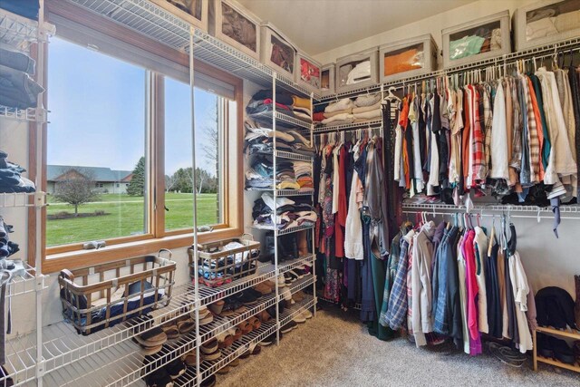 2555 W Deer Path Trl, Janesville, WI 53545 - spacious closet featuring carpet floors