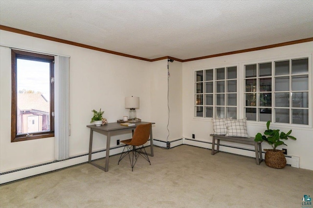 2608 Logan Ave, Superior, WI 54880 - carpeted office with baseboard heating, a textured ceiling, and ornamental molding