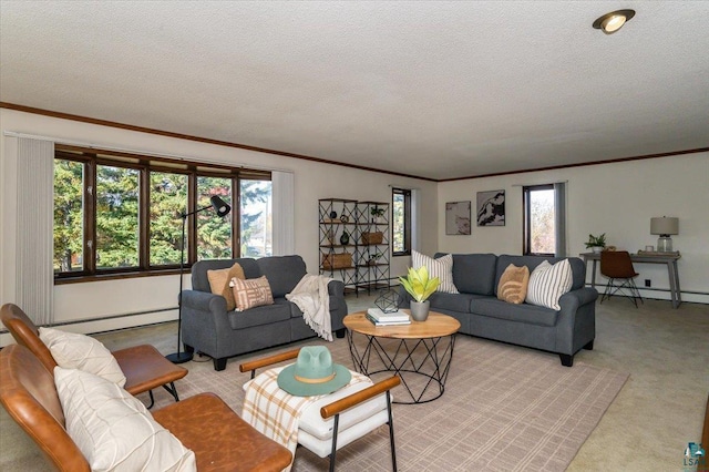 2608 Logan Ave, Superior, WI 54880 - living area with a baseboard radiator, a textured ceiling, crown molding, and light carpet