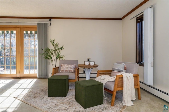 2608 Logan Ave, Superior, WI 54880 - sitting room featuring a baseboard heating unit, carpet, and crown molding