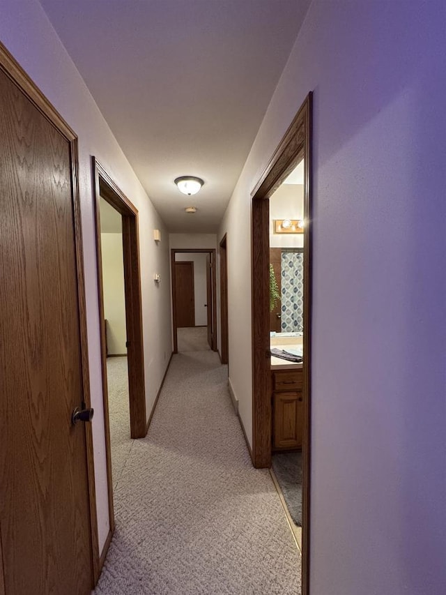 hall featuring light carpet