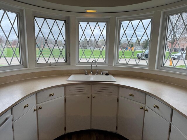kitchen with plenty of natural light, light countertops, and a sink