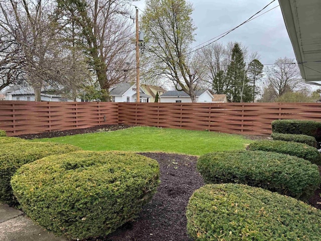 view of yard featuring a fenced backyard