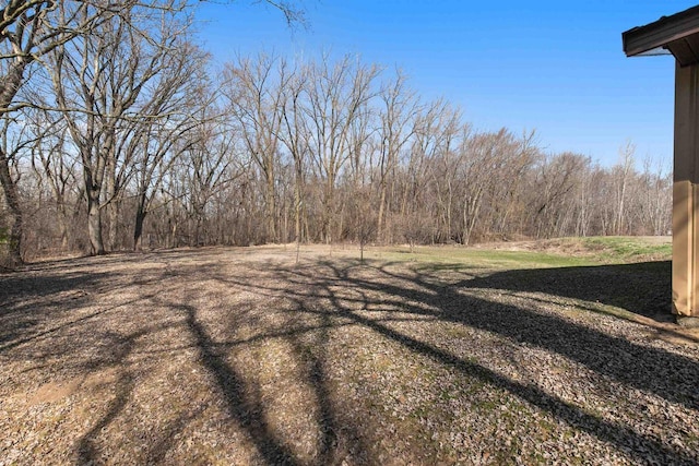 N5599 Mill St, Shiocton, WI 54170 - view of yard featuring a view of trees