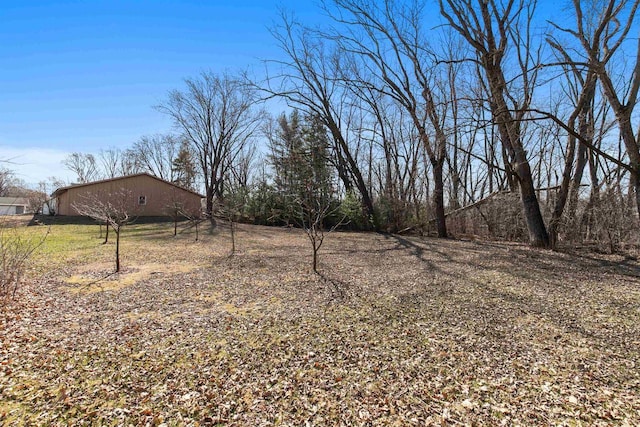 N5599 Mill St, Shiocton, WI 54170 - view of yard