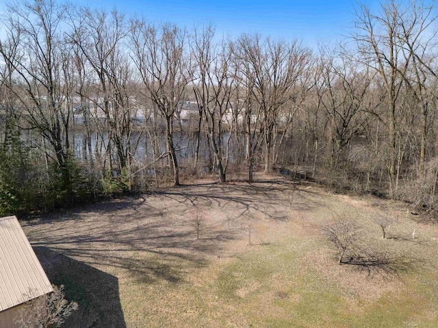 N5599 Mill St, Shiocton, WI 54170 - view of yard