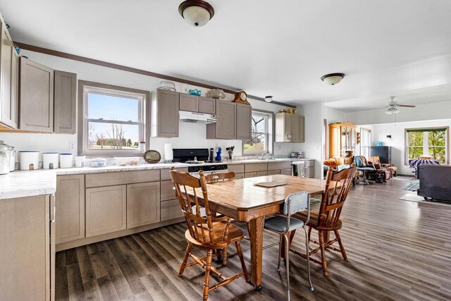 N2226 State Road 57, New Holstein, WI 53061 - dining area featuring a ceiling fan and dark wood finished floors