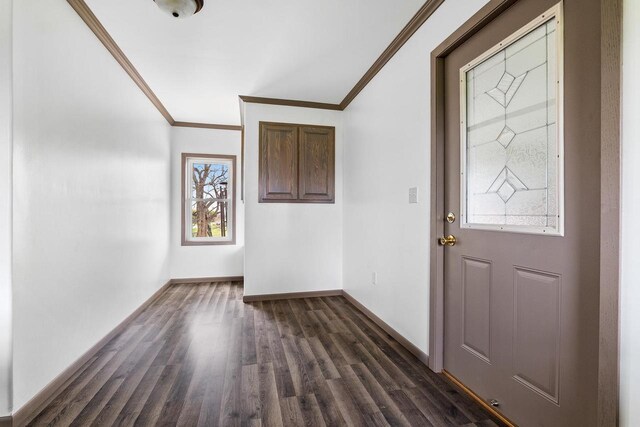 N2226 State Road 57, New Holstein, WI 53061 - entryway featuring crown molding, baseboards, and dark wood finished floors