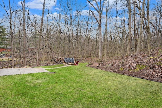 W9517 Parkway Dr, Poynette, WI 53955 - view of yard