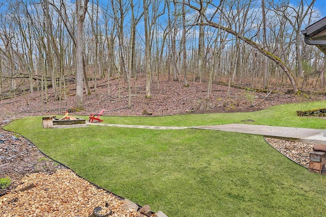 W9517 Parkway Dr, Poynette, WI 53955 - view of yard with a fire pit