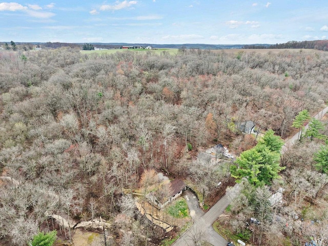 W9517 Parkway Dr, Poynette, WI 53955 - birds eye view of property