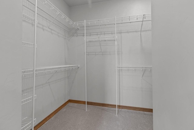 3216 Eclipse Dr, Green Bay, WI 54311 - view of walk in closet