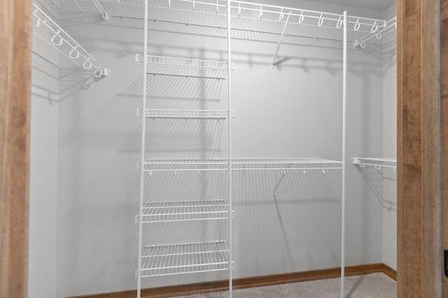 3216 Eclipse Dr, Green Bay, WI 54311 - view of walk in closet