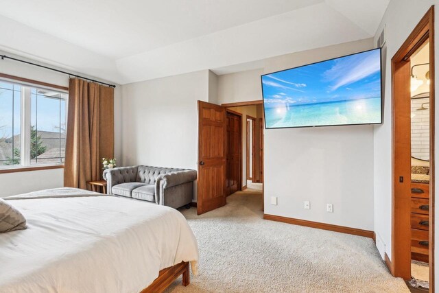 1310 Hanover Ct, Waunakee, WI 53597 - bedroom featuring light carpet and baseboards