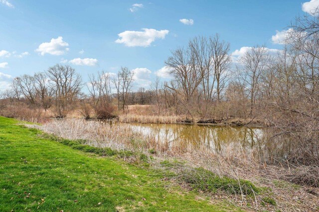 1310 Hanover Ct, Waunakee, WI 53597 - water view