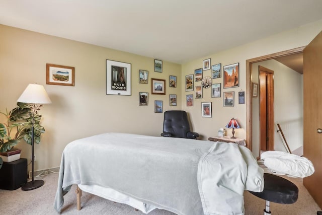 bedroom with carpet