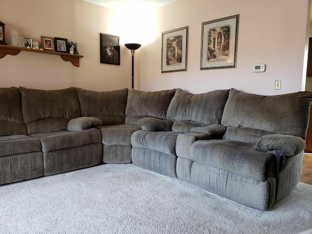 3821 90th St N, Wisconsin Rapids, WI 54494 - view of carpeted living area