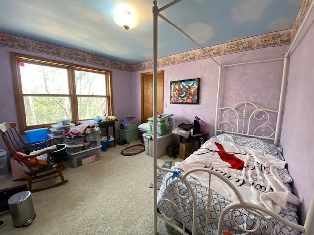 bedroom featuring carpet flooring