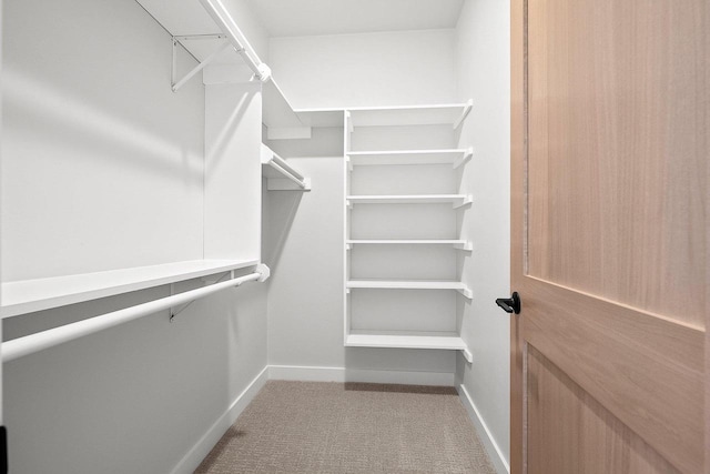 walk in closet with carpet floors